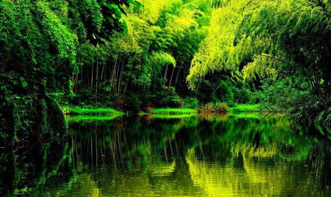 不自驾也能嗨遍四川!55个景区都有直通车了,在成都就能坐!