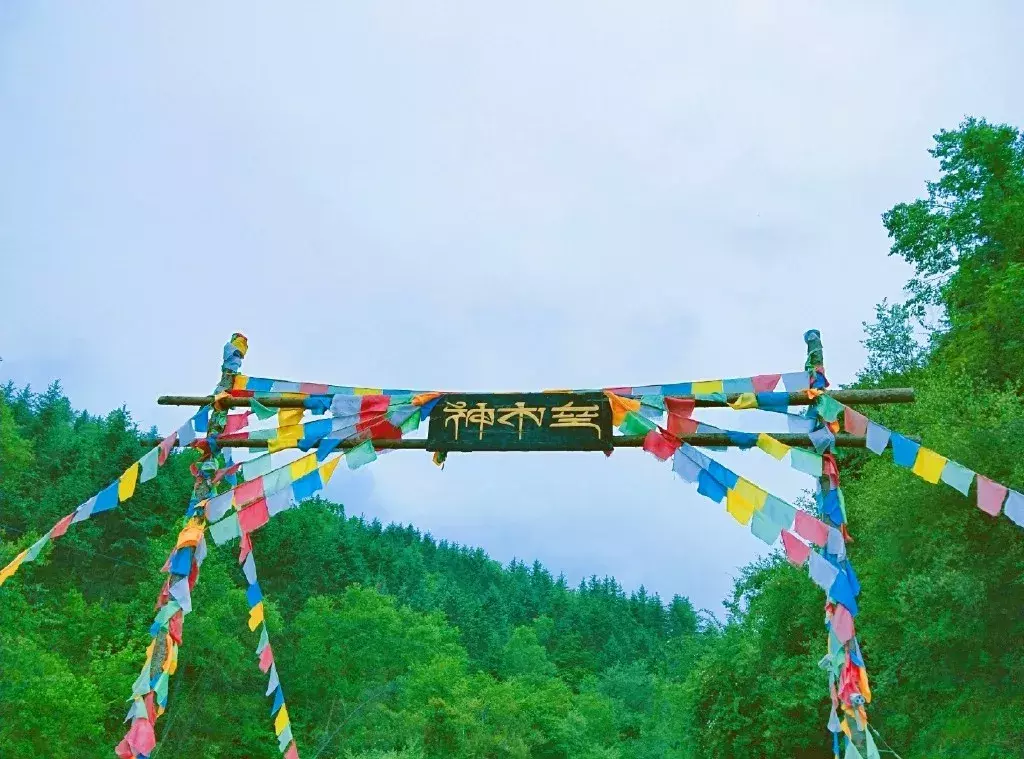 不自驾也能嗨遍四川!55个景区都有直通车了,在成都就能坐!