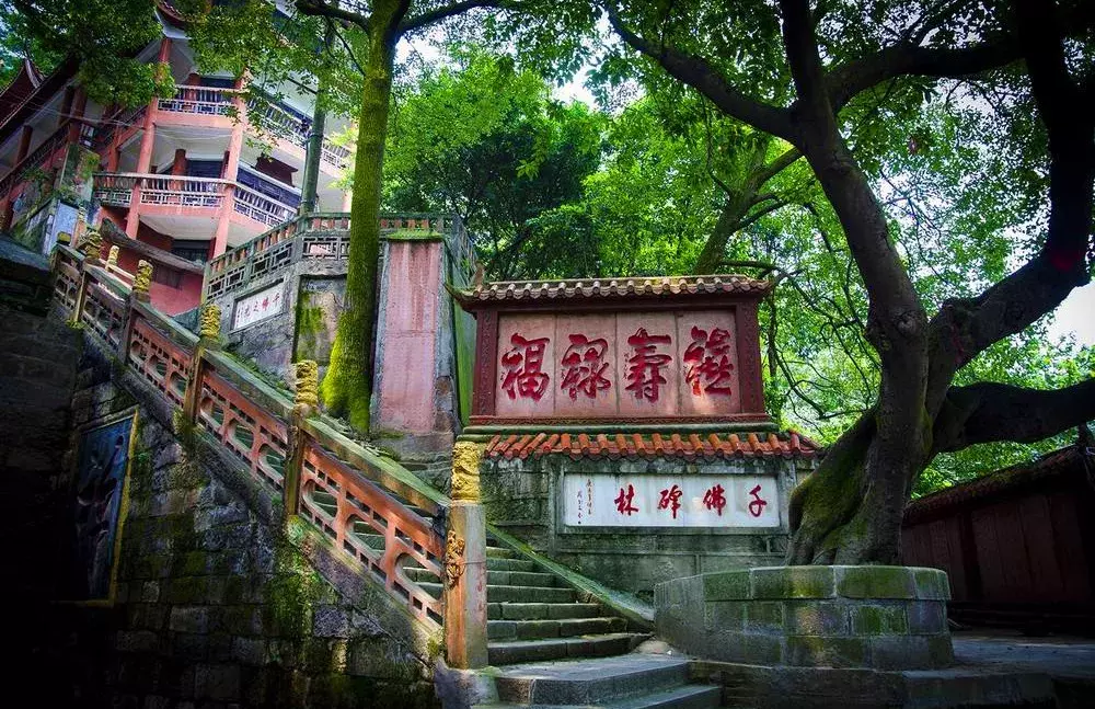 不自驾也能嗨遍四川!55个景区都有直通车了,在成都就能坐!