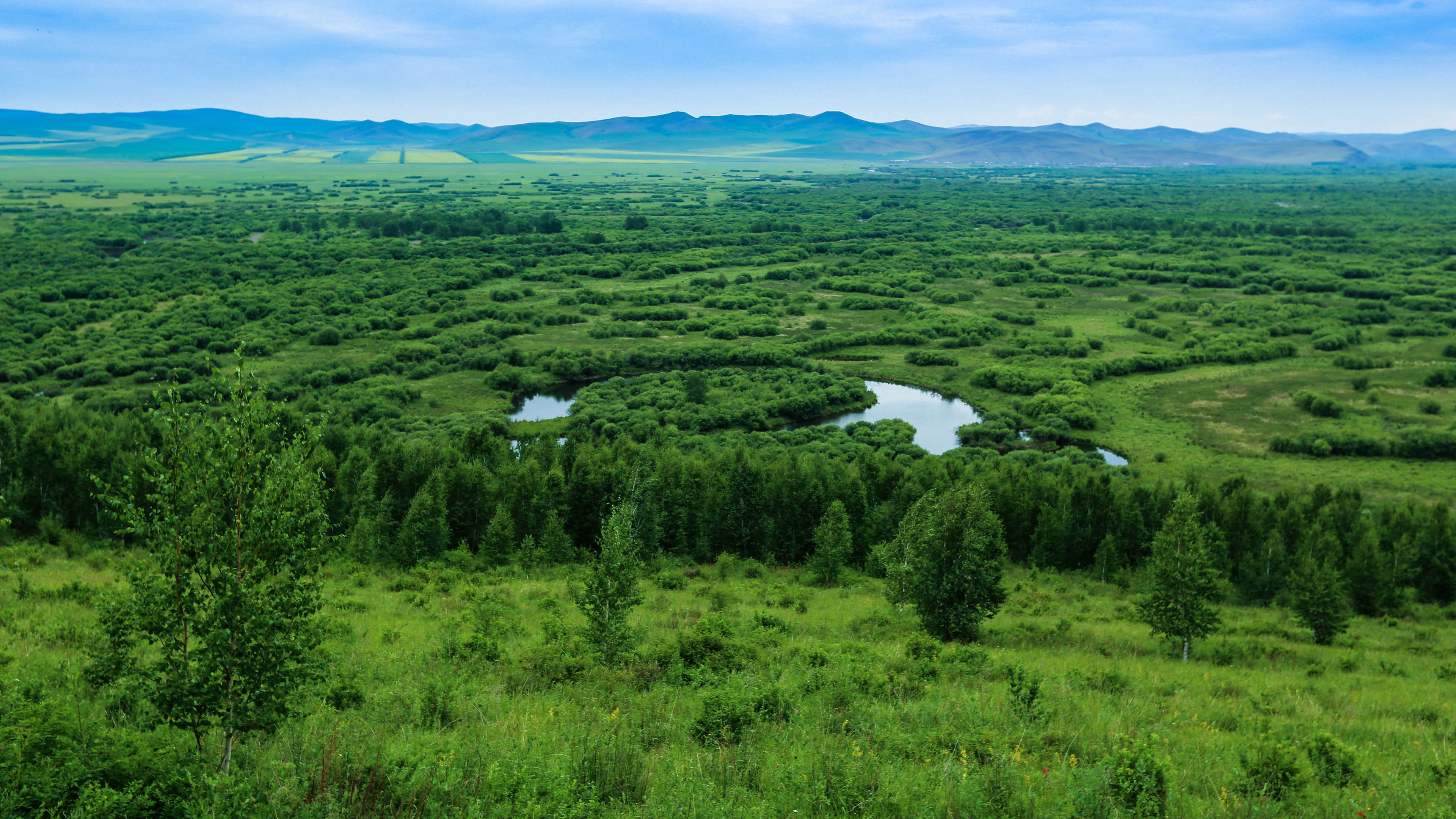 莫旗旅游攻略(这才是去呼伦贝尔大草原游玩的最正确的打开方式) - 悦