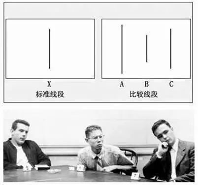 为什么很多人跟风世界杯(世界杯“伪球迷”现象的心理解读)