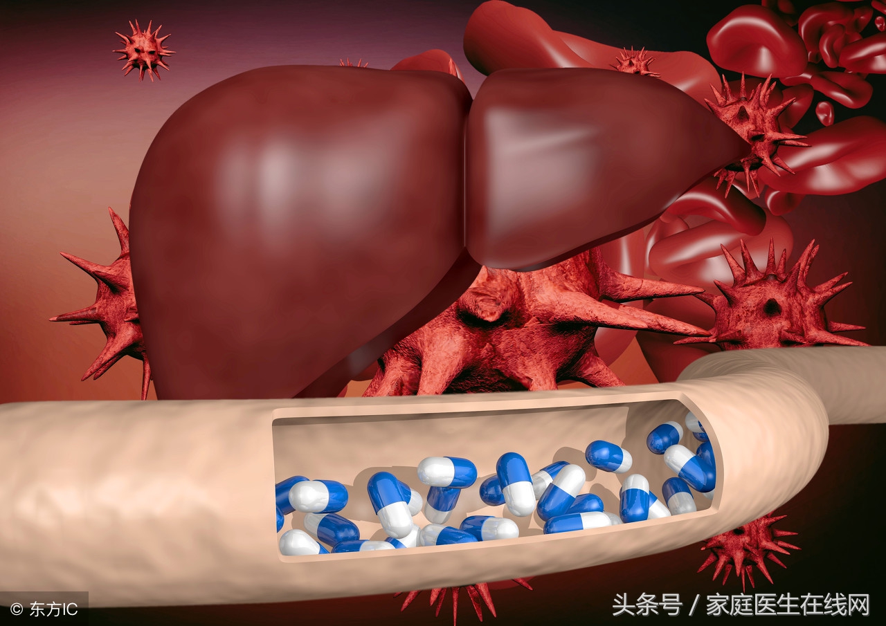 养肝就是养命：科学护肝，守护健康根本