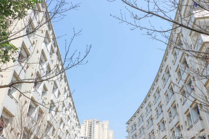 权威发布｜长江师范学院2018年招生章程