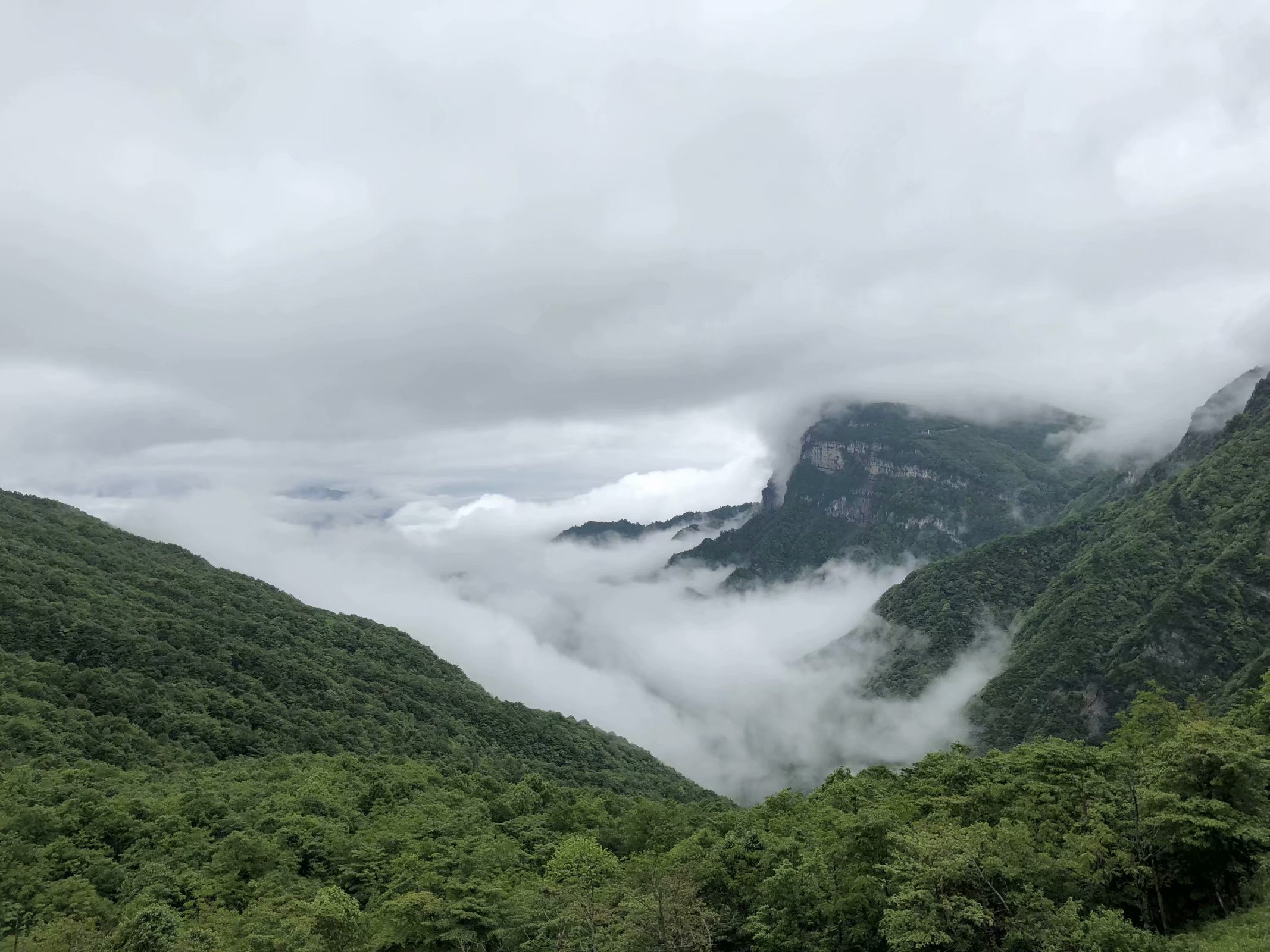 烟也朦胧雾也朦胧，来汉中龙头山看人间仙境啦！