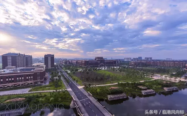 纳尼！原来上海临港的高校都是这些星座的！感觉略6！