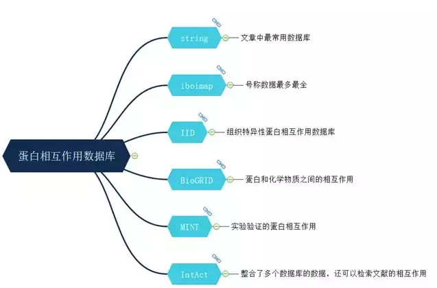 脑科学——新闻早班车（2018-06-23）