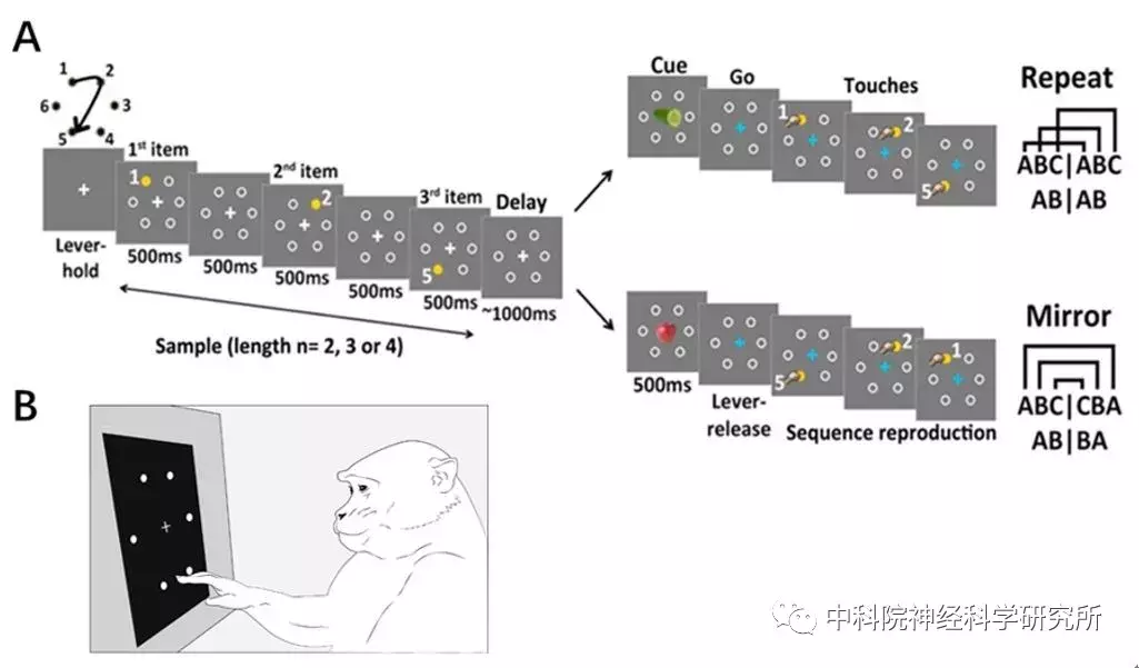 脑科学——新闻早班车（2018-06-23）