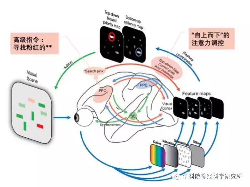 脑科学——新闻早班车（2018-06-23）