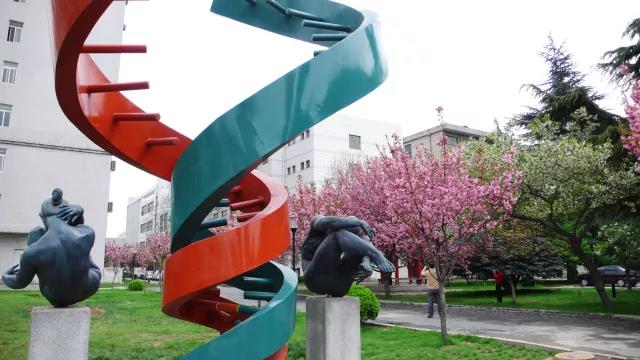 权威发布｜西安交通大学2018年普通本科招生章程详解