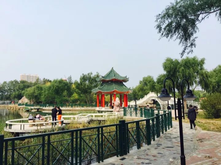 全方位“加速度”前进！这样的哈尔滨新区，怎能不爱呢？