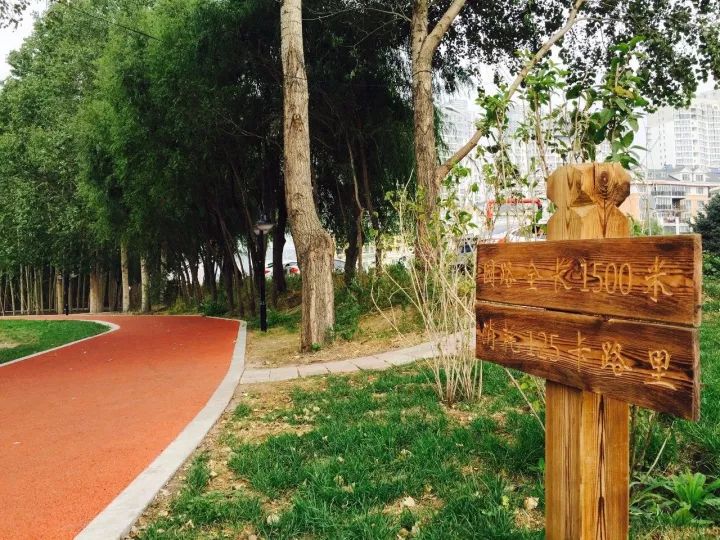 全方位“加速度”前进！这样的哈尔滨新区，怎能不爱呢？