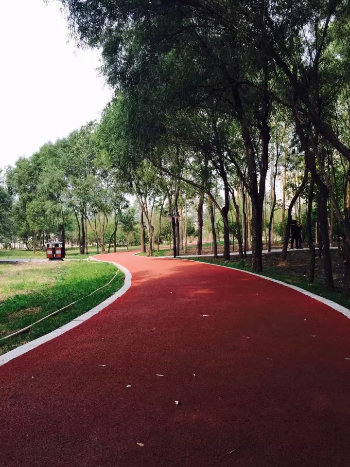 全方位“加速度”前进！这样的哈尔滨新区，怎能不爱呢？