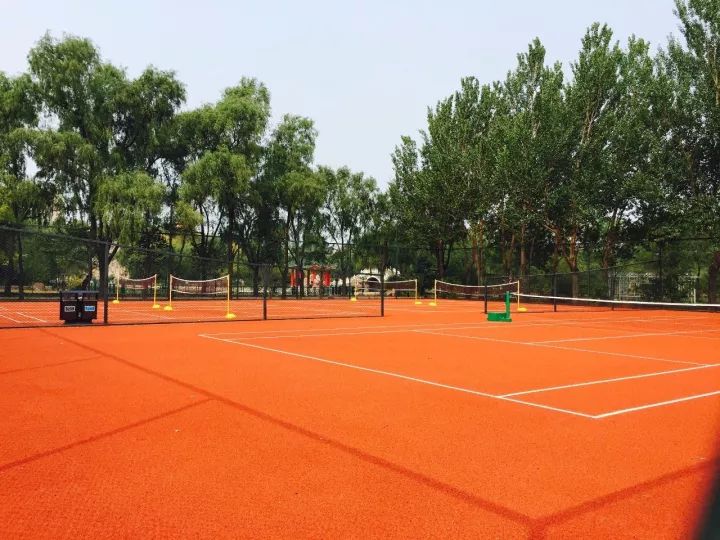 全方位“加速度”前进！这样的哈尔滨新区，怎能不爱呢？