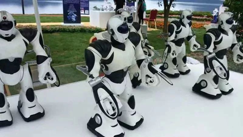 全方位“加速度”前进！这样的哈尔滨新区，怎能不爱呢？