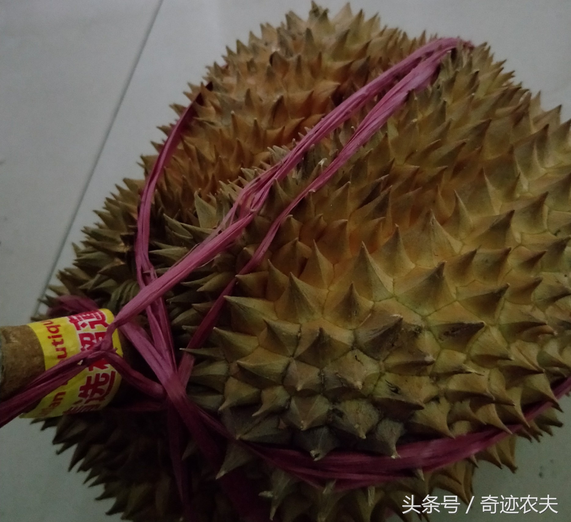 吃榴莲怎么发朋友圈说说_qq说说网