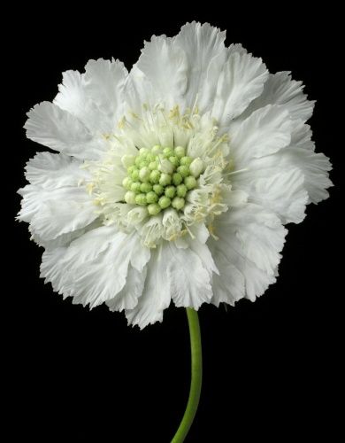 达州男孩高考后自杀，女儿高考后妈妈醉酒欲轻生——父母要学会爱