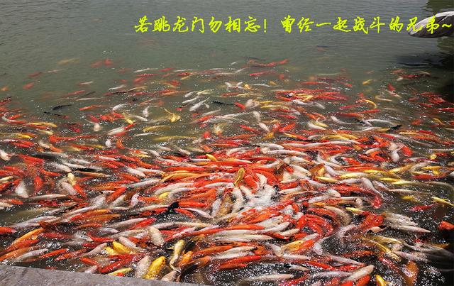 青春最难忘的是味道，潍坊职业学院，留住青春的记忆！