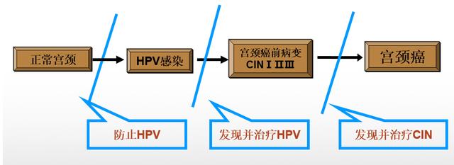 市面上最常见的治疗HPV的药，其实是在骗你