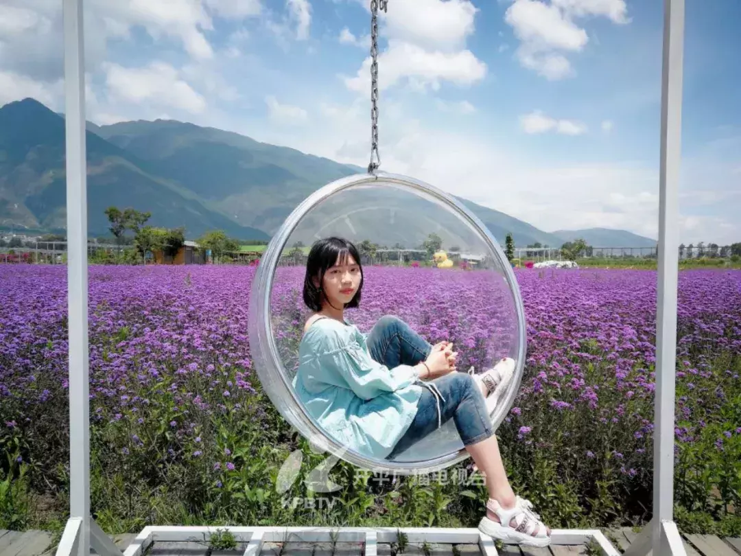 高考放榜！开平文、理科最高分是这两位考生……他们是这么学习的……