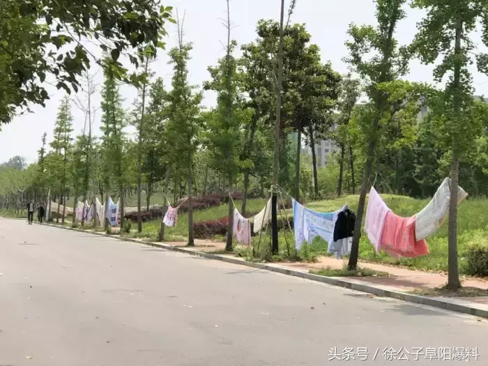 同学，我不想骗你！千万别报阜阳师范学院！