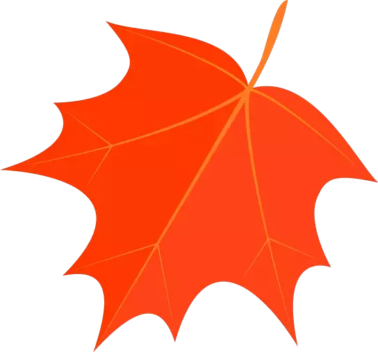 不简单的成绩单｜季延中学2018年高考再创佳绩