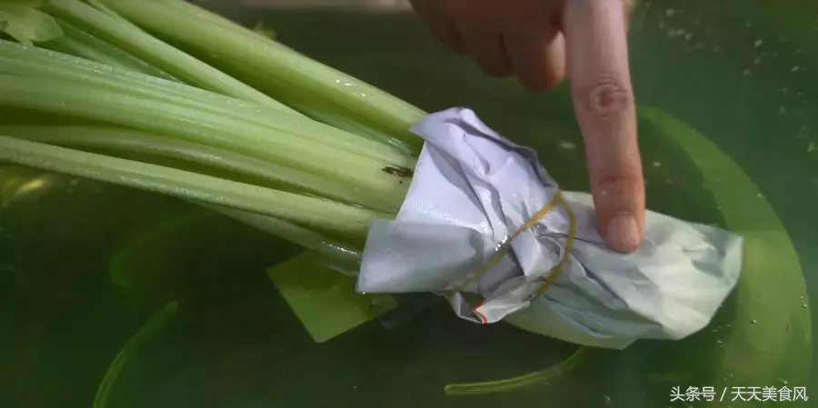 芹菜这样保鲜一周，叶子不黄也不干，比放冰箱还好，快在家试试