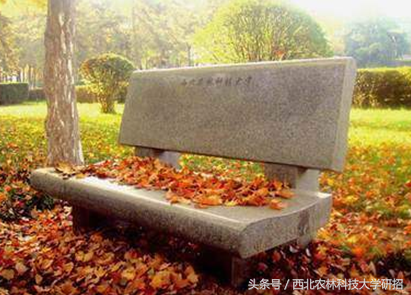 成绩好，有爱心，放弃保研资格，这位西农女学霸还是篮球场上的MVP