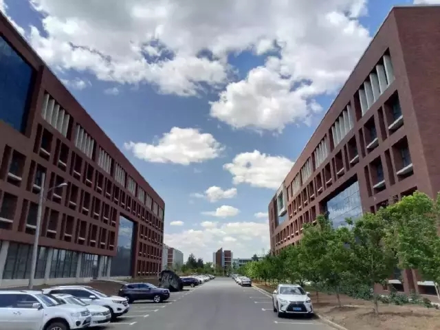 录取结果可查了！广东等13省录取结果查询入口开通！