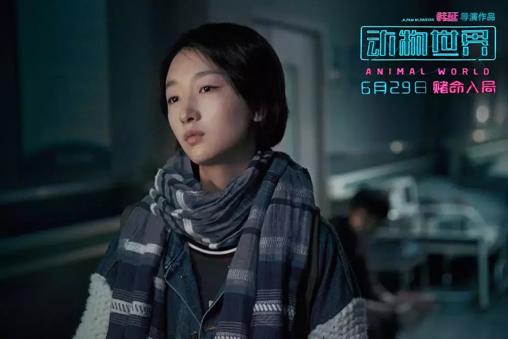 《动物世界》这场兽性与人性的角力,我看得并不过瘾