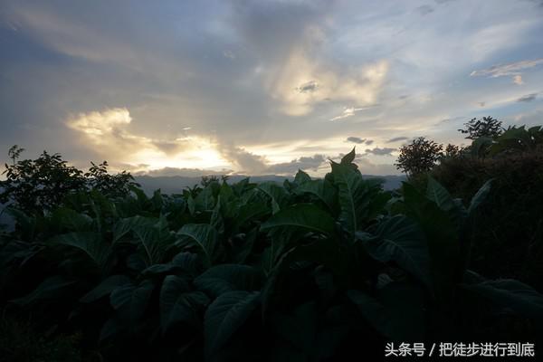 溪苑同人世界杯(印象沙溪，遇见好望角)