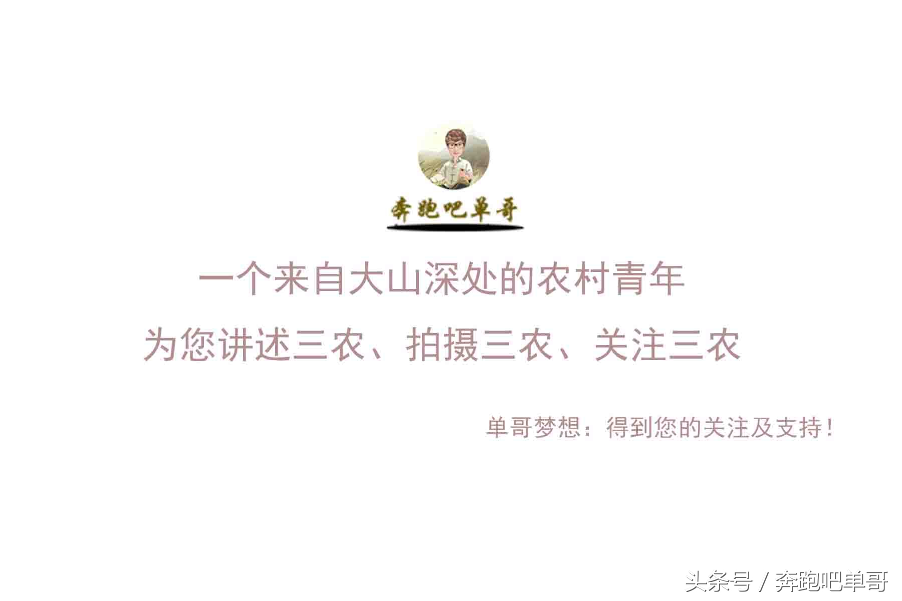 老人说：“有痣吃痣，无痣吃气”，农村的这说法有什么含义？