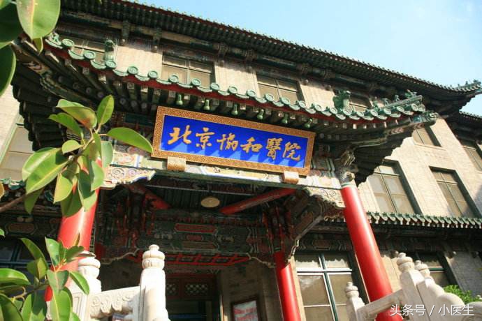 北大醫院科室排名(今天/掛號資訊)的簡單介紹