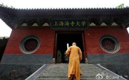 如何简单明了的区分海事大学和海洋大学？给跪了~