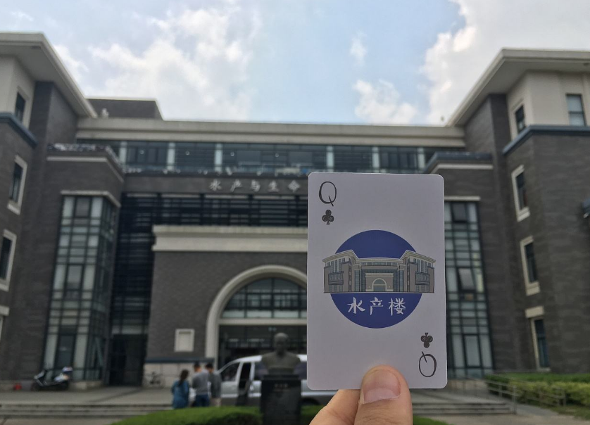 如何简单明了的区分海事大学和海洋大学？给跪了~