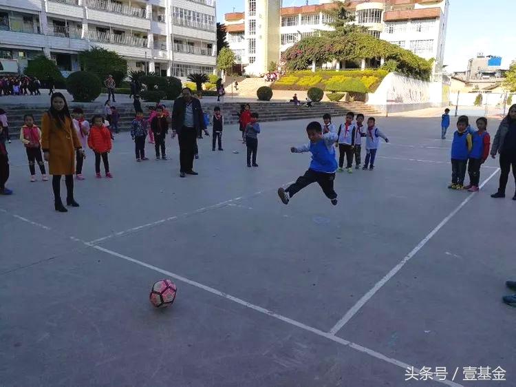 为什么那么多人爱看世界杯(为什么你们都爱看世界杯)