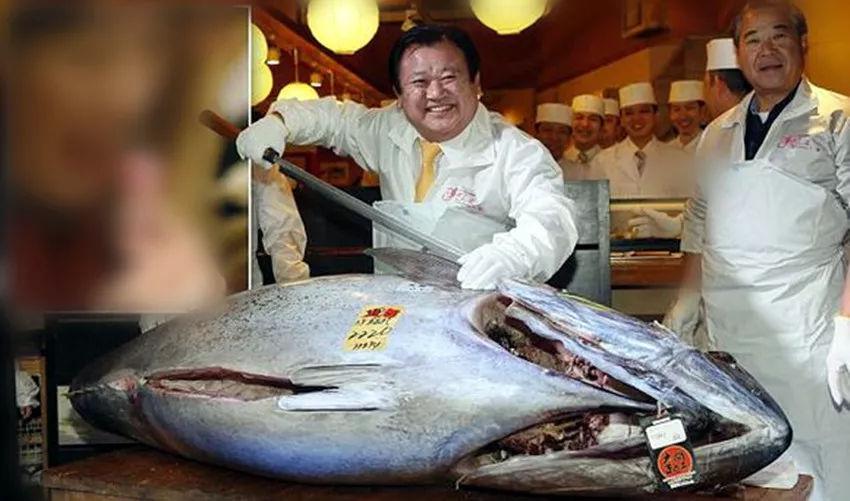 一条金枪鱼到底能有多贵？