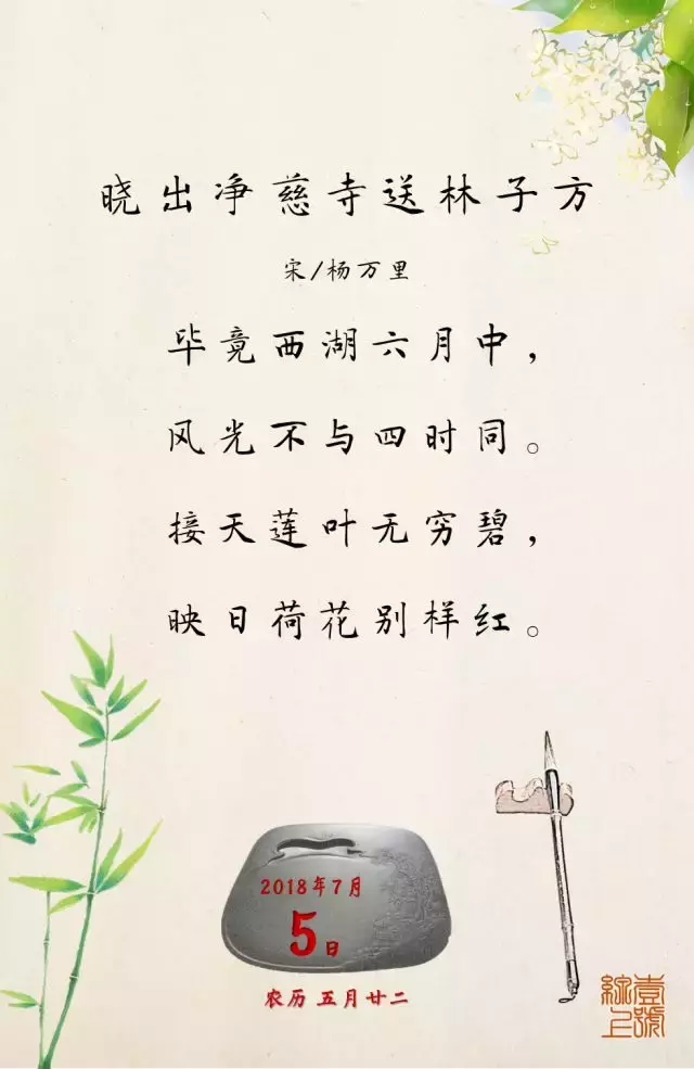 每日一诗：接天莲叶无穷碧，映日荷花别样红