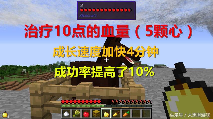 我的世界：你知道马都吃些什么吗？第6太奢侈，玩家都不舍得吃！