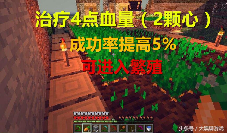 我的世界：你知道马都吃些什么吗？第6太奢侈，玩家都不舍得吃！