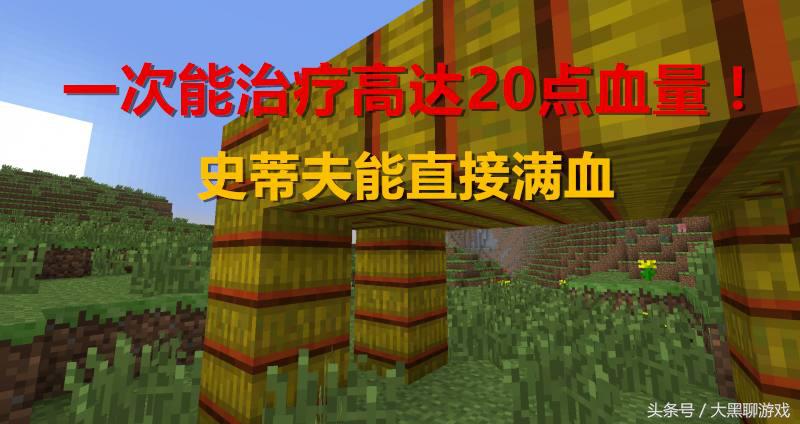 我的世界：你知道马都吃些什么吗？第6太奢侈，玩家都不舍得吃！