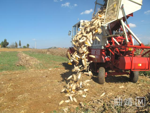 沾益農(nóng)機(jī)購置補(bǔ)貼工作開始了