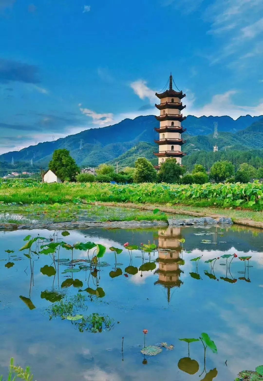 浙江武义旅游景点_武义一日游 - 密云旅游