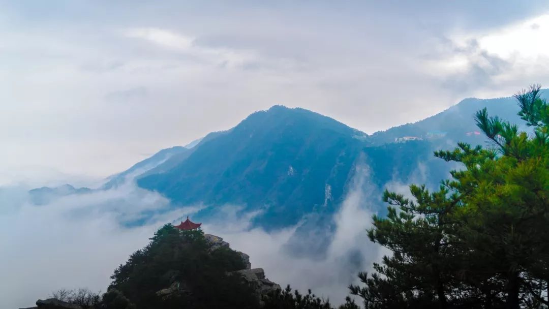 诗词专辑｜青莲旅游诗词：青荷不减来时路，更有幽香送到家