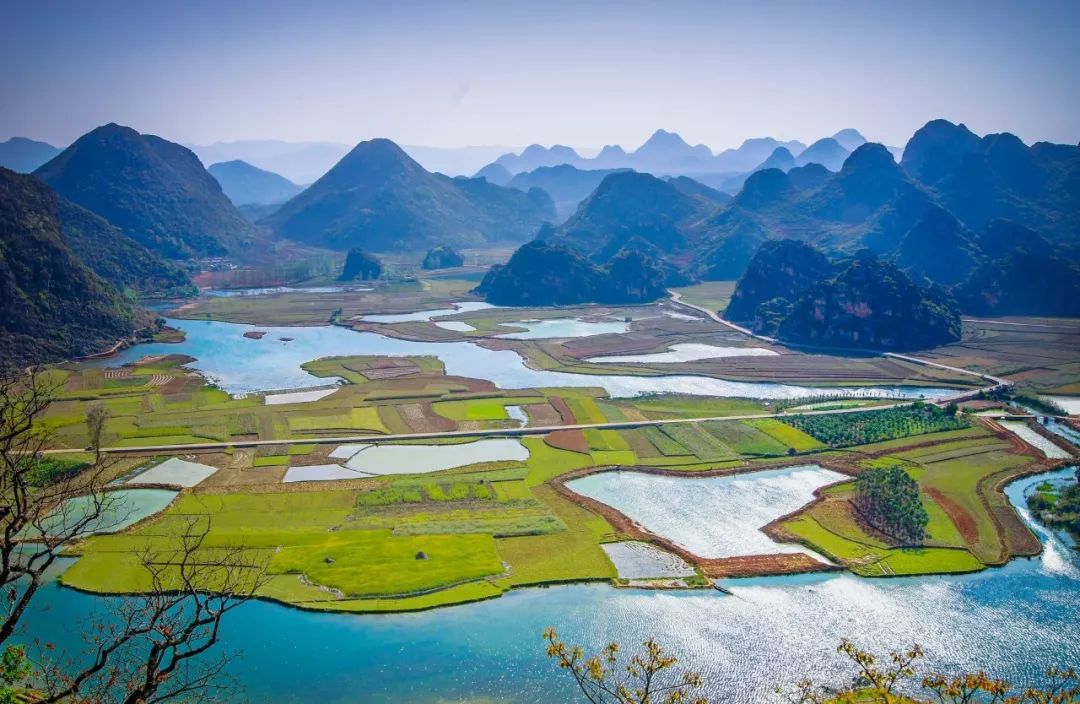 诗词专辑｜青莲旅游诗词：青荷不减来时路，更有幽香送到家