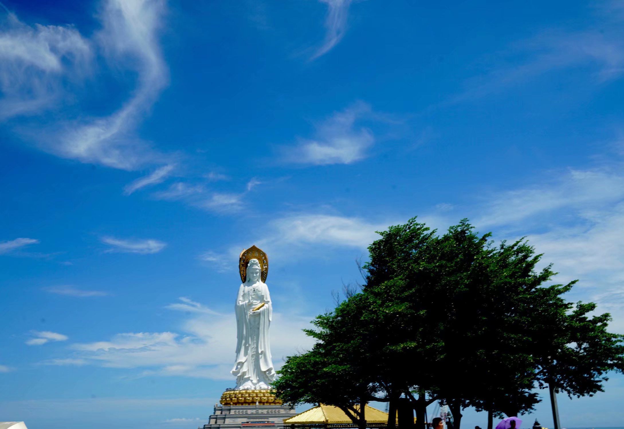 南海观音在哪里(去三亚看世界最高观音：南海观音)