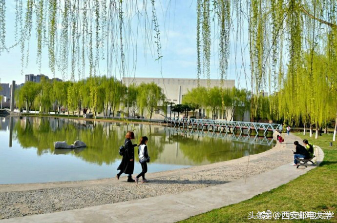 大四“男神”：短短1年，从“0”到“全国冠军”，作品点击量12万