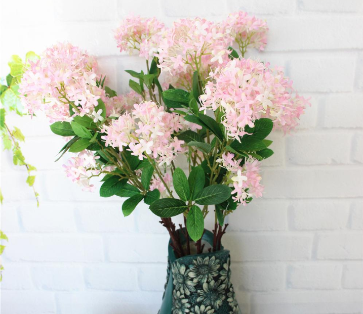 夕雾花(夕雾花:花色丰富,花香淡雅的夕雾花,美丽四季快来看看吧)