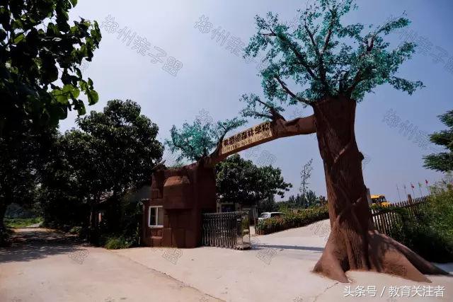 一所鼓舞人心的郑州森林学校，真人打地鼠、山坡滑梯、轮胎攀岩！