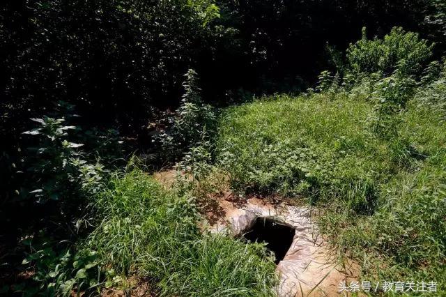 一所鼓舞人心的郑州森林学校，真人打地鼠、山坡滑梯、轮胎攀岩！