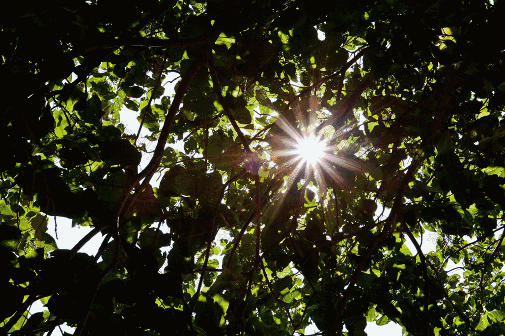 一所鼓舞人心的郑州森林学校，真人打地鼠、山坡滑梯、轮胎攀岩！